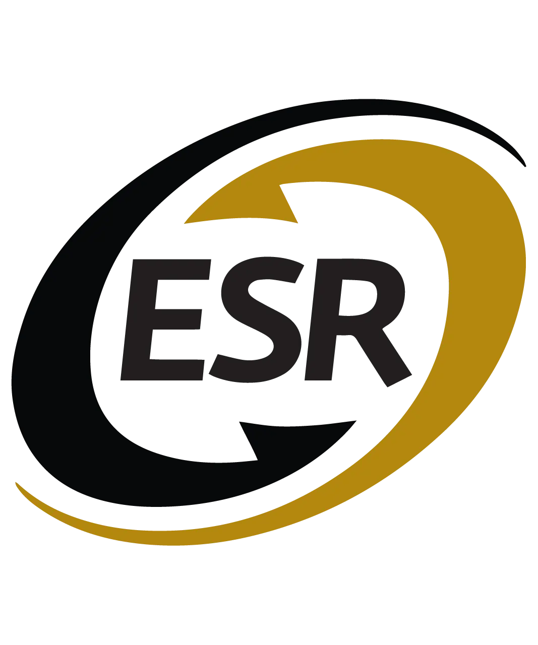 Empresa Socialmente Responsable